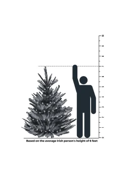 7Ft Feel Real Carrington Fir Slim Artificial Christmas Tree