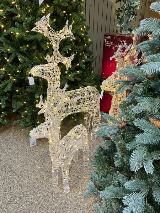 Warm White Led Acrylic Reindeer